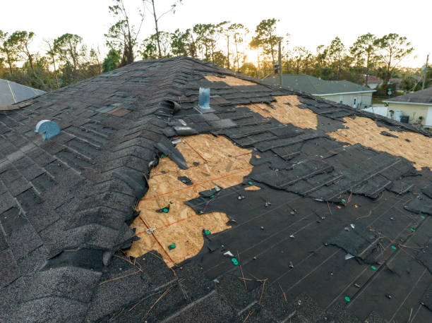 Roof Insulation in Carolina Forest, SC